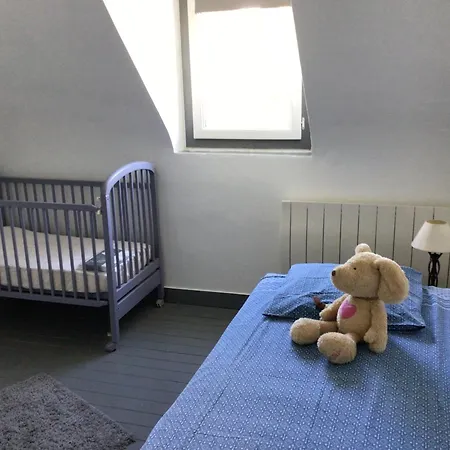 Sara's 24 * Руан